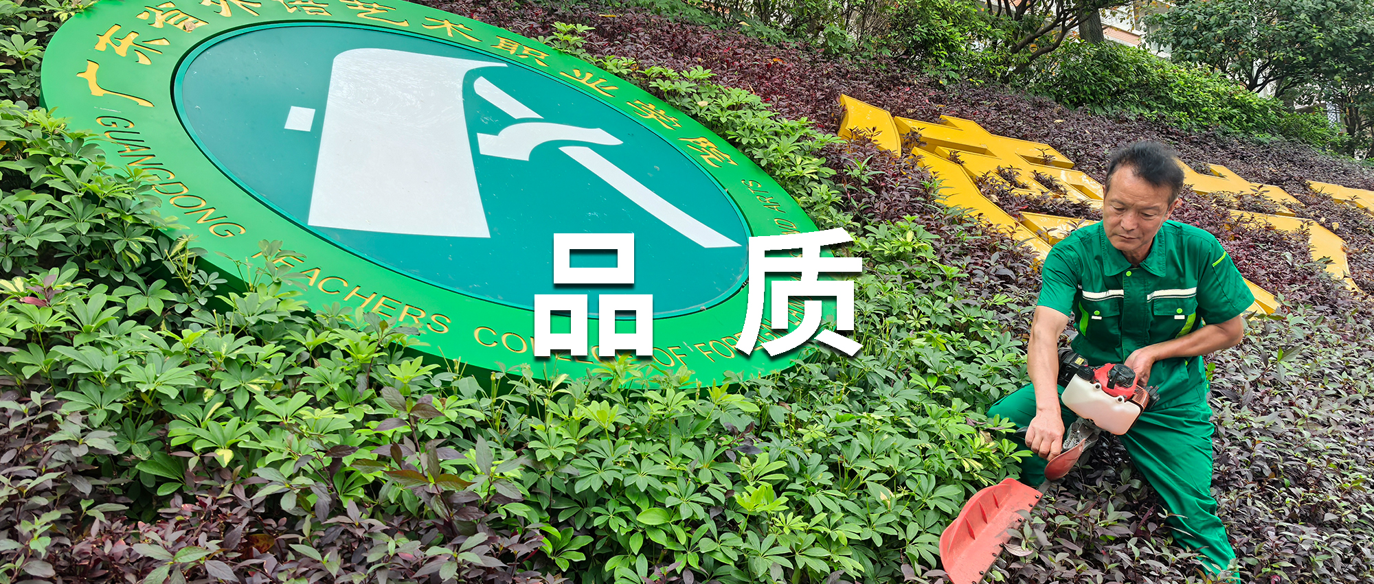 唐明光